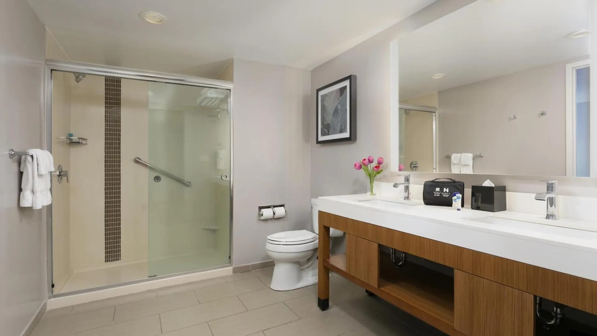 *** מלון Hyatt Place סן חואן פוארטו ריקו